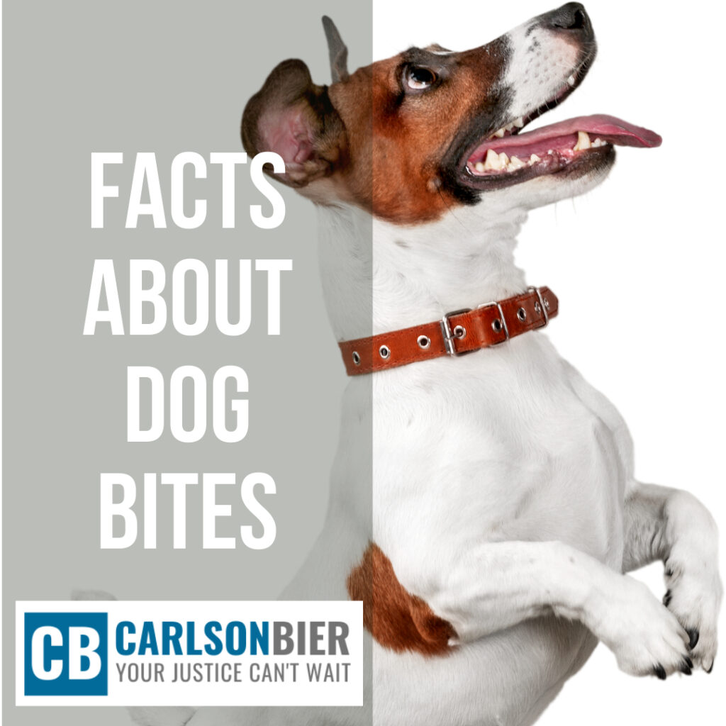 Personal Injury Lawyer Aurora Illinois | Carlson Bier Associates