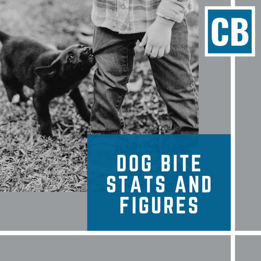 Personal Injury Lawyer Naperville Illinois | Carlson Bier Associates