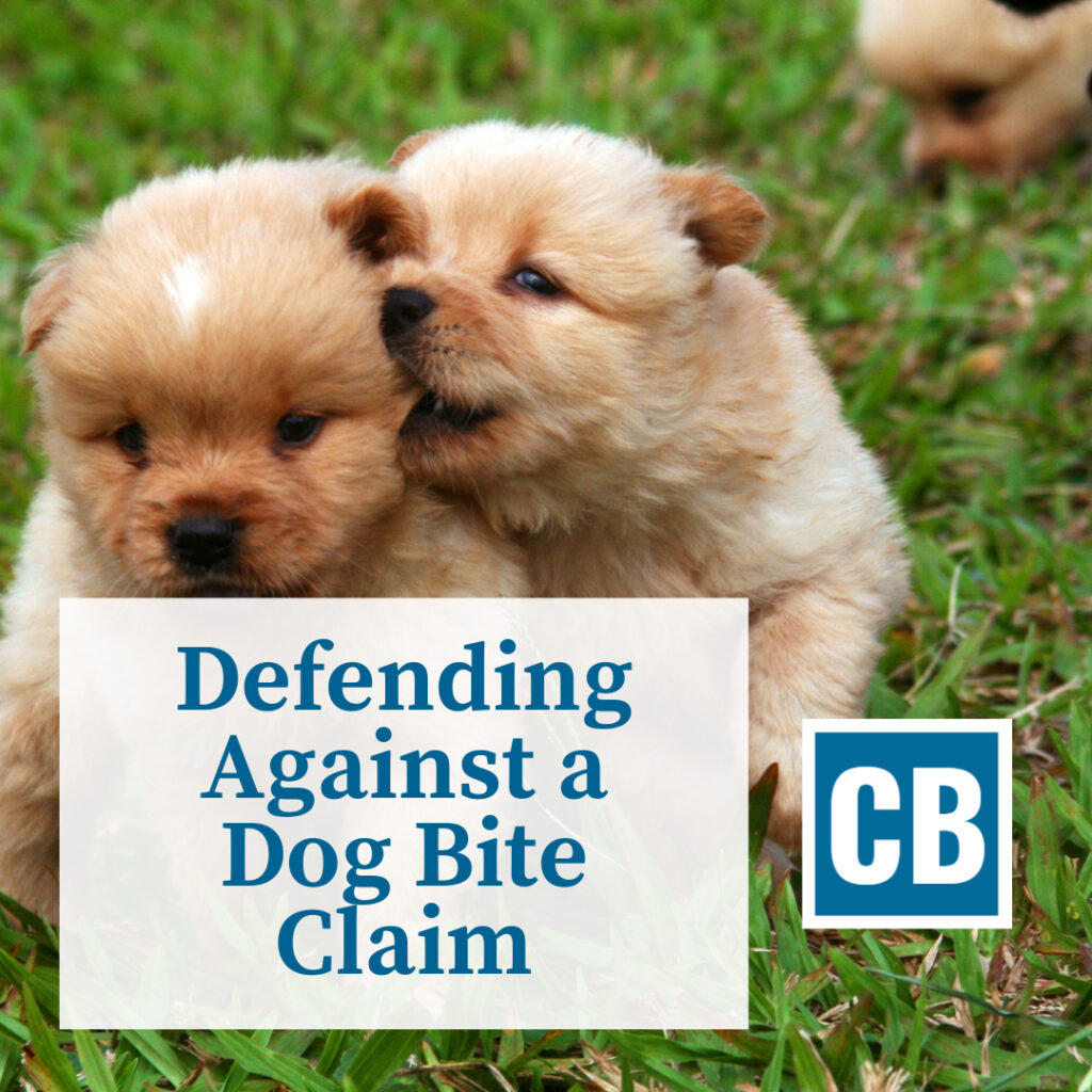 Personal Injury Lawyer Rockford Illinois | Carlson Bier Associates