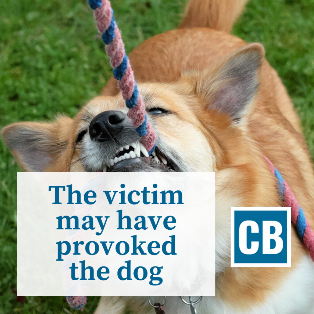 Personal Injury Lawyer Rockford Illinois | Carlson Bier Associates