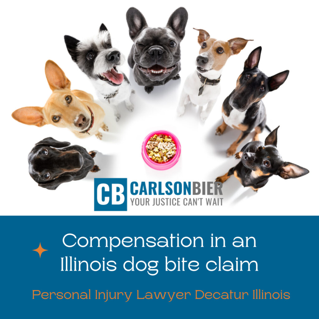 Personal Injury Lawyer Decatur Illinois | Carlson Bier Associates