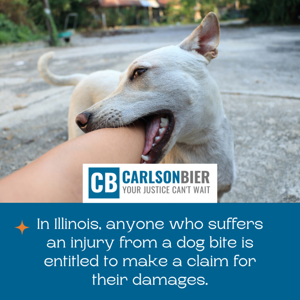 Personal Injury Lawyer Decatur Illinois | Carlson Bier Associates