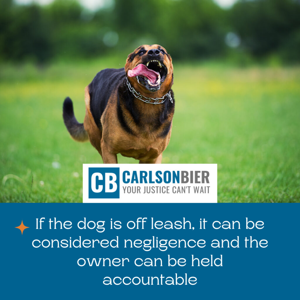 Personal Injury Lawyer Decatur Illinois | Carlson Bier Associates