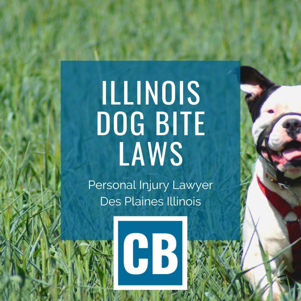 Personal Injury Lawyer Des Plaines Illinois | Carlson Bier Associates