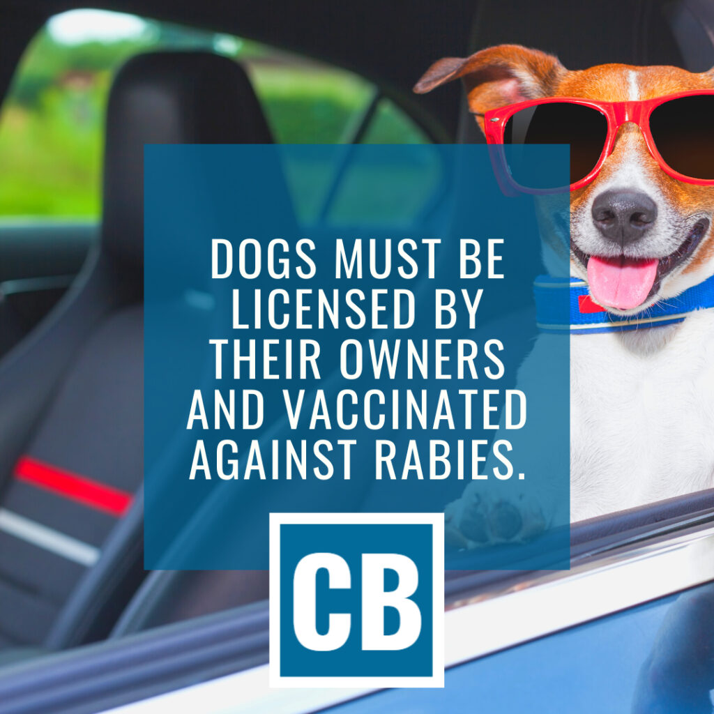 Personal Injury Lawyer Des Plaines Illinois | Carlson Bier Associates