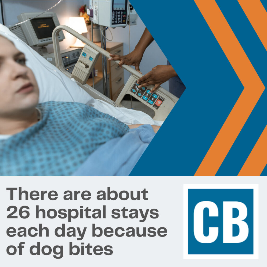 Personal Injury Lawyer Elmhurst Illinois | Carlson Bier Associates