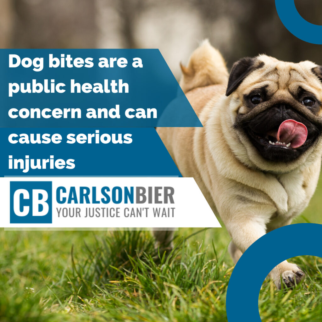 Personal Injury Lawyer Berwyn Illinois | Carlson Bier Associates