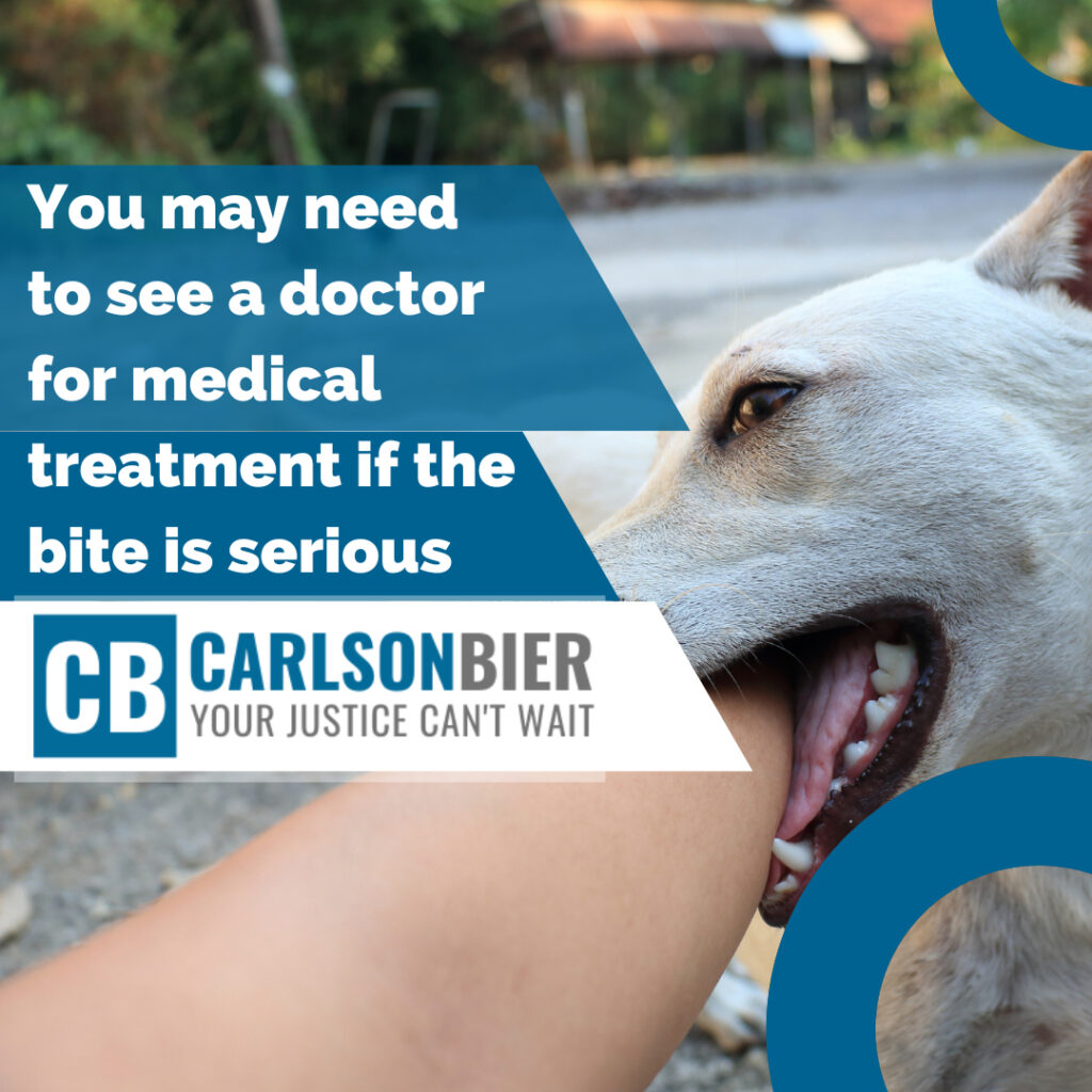 Personal Injury Lawyer Berwyn Illinois | Carlson Bier Associates