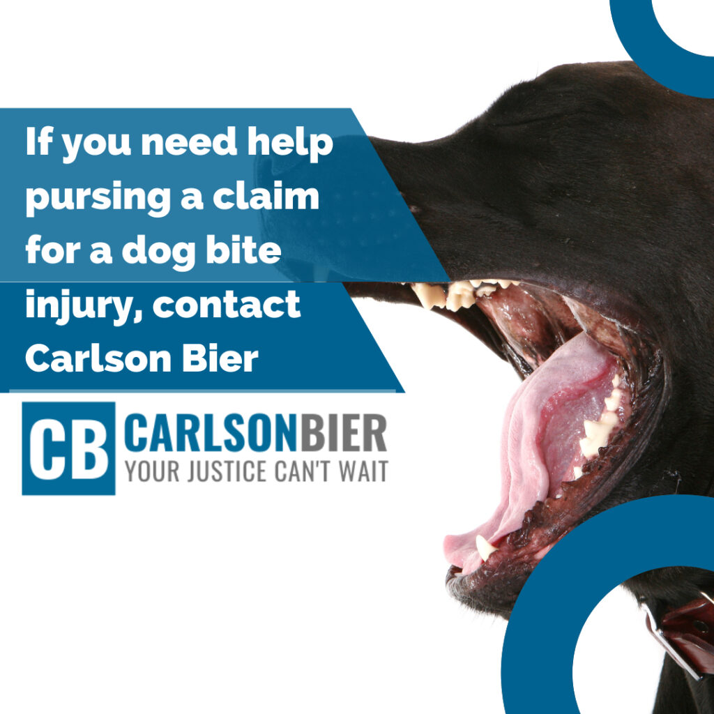 Personal Injury Lawyer Berwyn Illinois | Carlson Bier Associates